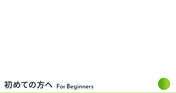 bnrhalf_for-beginners_cover
